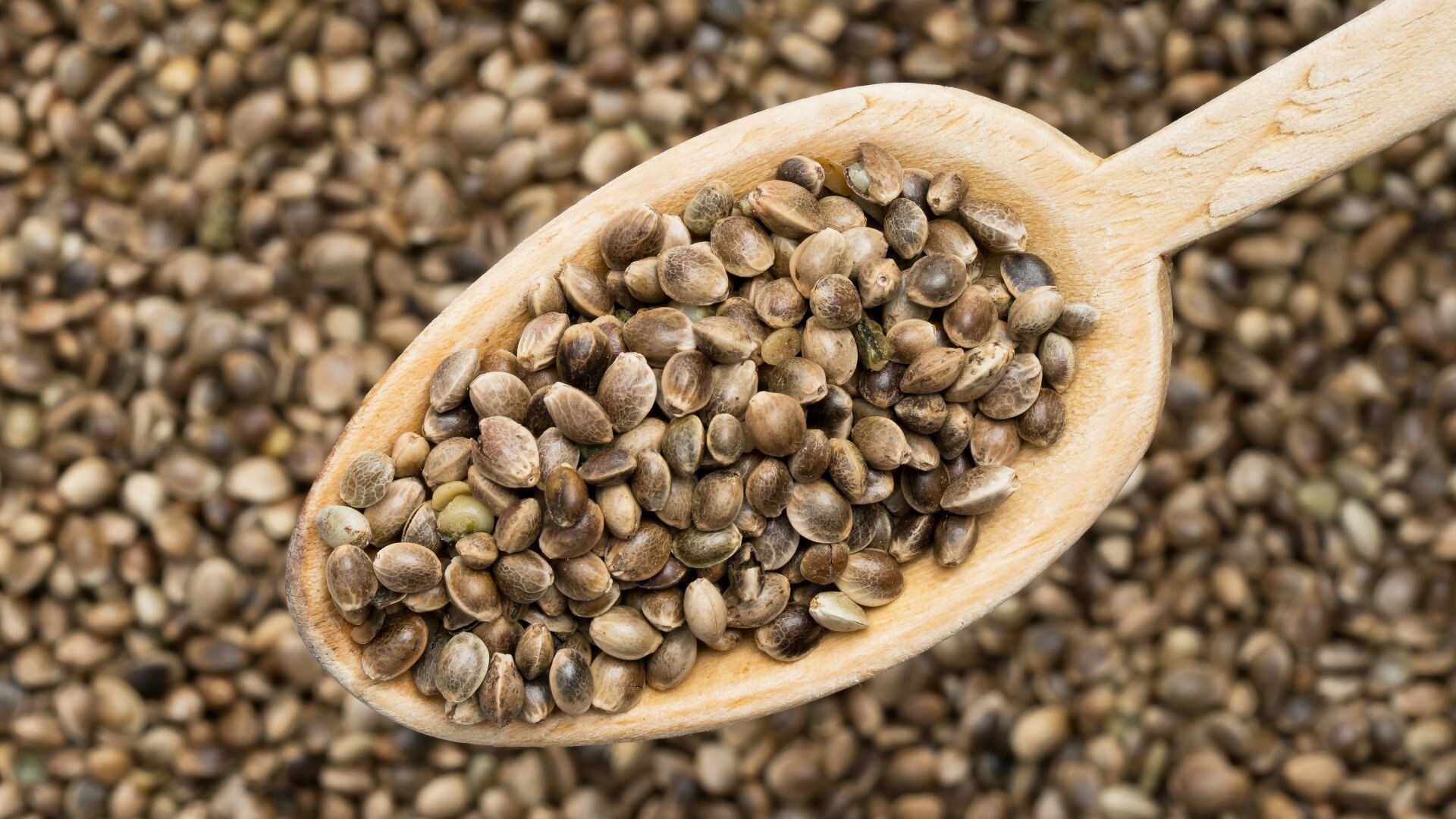Hemp seeds
